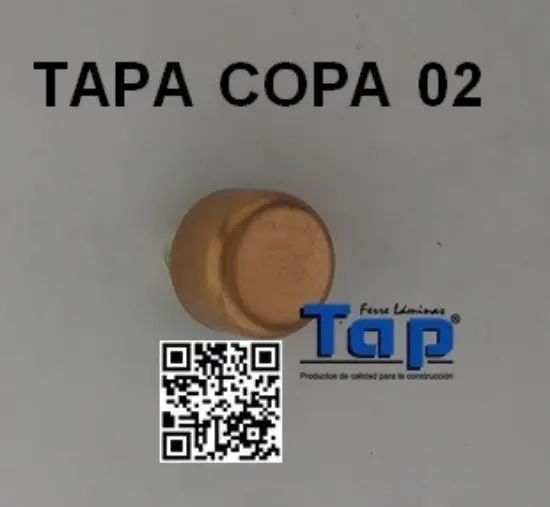 Imagen de TAPA COPA 02